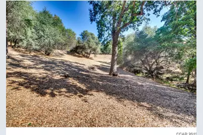 336 Catalpa Lane, Angels Camp, CA 95222 - Photo 8