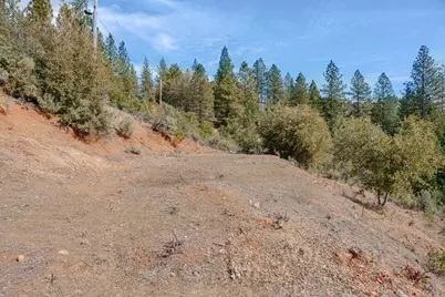 5776 Prospector Lane, Murphys, CA 95247 - Photo 4