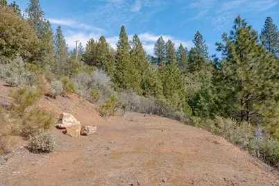 5776 Prospector Lane, Murphys, CA 95247 - Photo 6