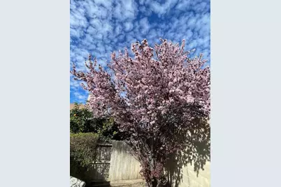 196 Dyer Avenue, Manteca, CA 95336 - Photo 24