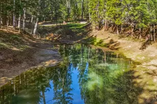 13999 Fifield Rd, Grass Valley, CA 95945 - Photo 44