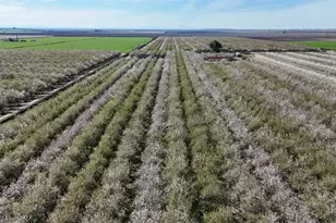 11152 Carrolton Rd, Escalon, CA 95320 - Photo 4