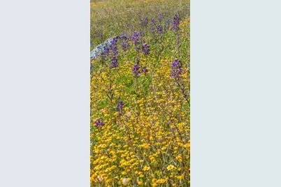 10952 Gopher Mine Trail, Grass Valley, CA 95949 - Photo 96