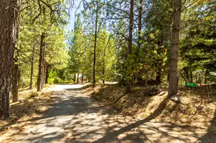 4717 Lobo Trail, Garden Valley, CA 95633 - Photo 38