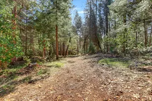 11793 Coyote Ct, Nevada City, CA 95959 - Photo 70