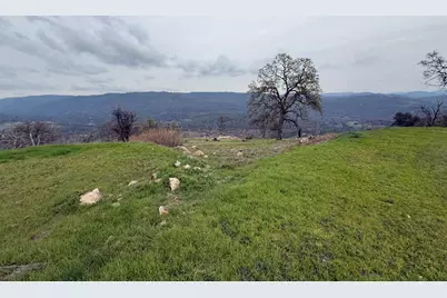 141 Gold Pan Court, Bangor, CA 95914 - Photo 8