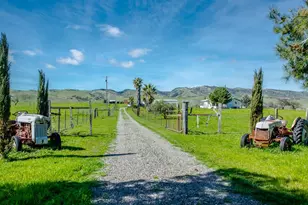 12076 County Rd 84A, Capay, CA 95607 - Photo 6