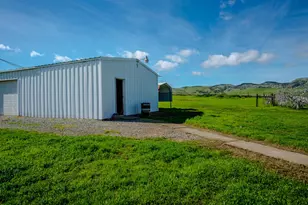 12076 County Rd 84A, Capay, CA 95607 - Photo 38