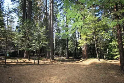 1376 Meadow Drive, Arnold, CA 95223 - Photo 6