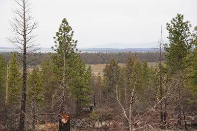 0 Old State Hwy, Macdoel, CA 96058 - Photo 16