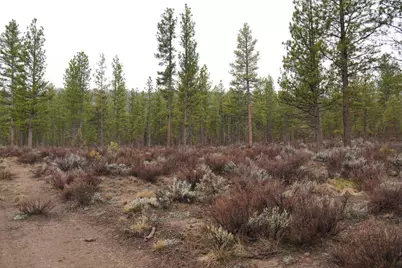 0 Old State Hwy, Macdoel, CA 96058 - Photo 8