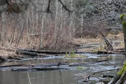 0 Old State Hwy, Macdoel, CA 96058 - Photo 18