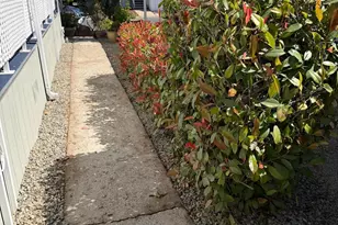 Rimma Way, Roseville, CA 95661 - Photo 36