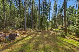 15625 Cleveland Ave, Camptonville, CA 95922 - Photo 50