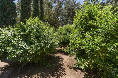 3117 Northfield Court, Davis, CA 95616 - Photo 56