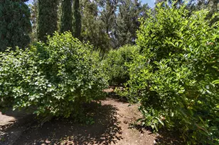 3117 Northfield Ct, Davis, CA 95616 - Photo 56