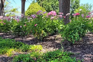 3591 Quail Lakes Dr, Stockton, CA 95207 - Photo 20