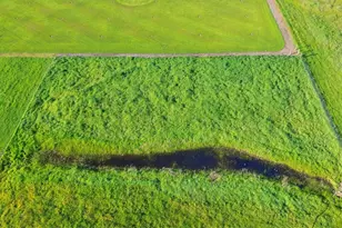 10695 Calvine Rd, Sacramento, CA 95830 - Photo 74