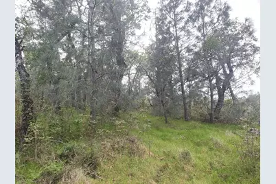 8601 Riverview Terrace, Smartsville, CA 95977 - Photo 34