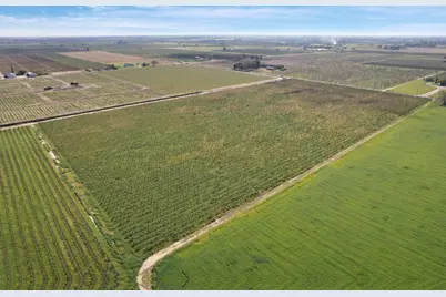 4923 W Acampo Road, Lodi, CA 95242 - Photo 6
