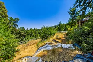 5500 Rancho Sequoia Dr, Alderpoint, CA 95511 - Photo 20