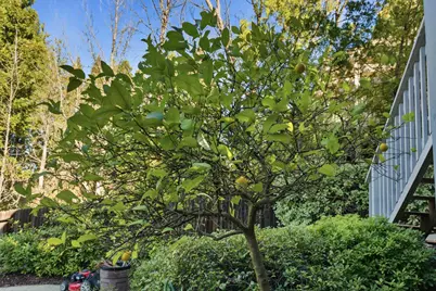 9878 Penbridge Drive, Granite Bay, CA 95746 - Photo 38