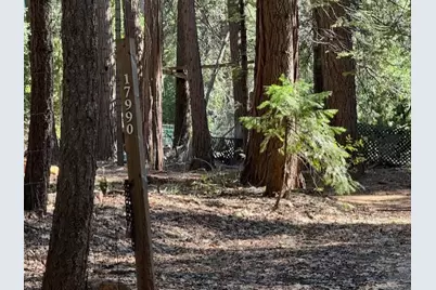 17970 Foxfire Way, Nevada City, CA 95959 - Photo 14