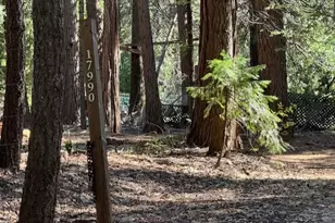 17970 Foxfire Way, Nevada City, CA 95959 - Photo 14