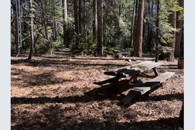 17970 Foxfire Way, Nevada City, CA 95959 - Photo 16