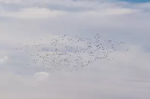 4873 Gladding Rd, Lincoln, CA 95648 - Photo 16