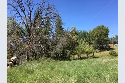 7495 Doster Road, Mountain Ranch, CA 95246 - Photo 6