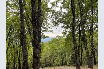 14437 Lightning Tree Road, Nevada City, CA 95959 - Photo 1