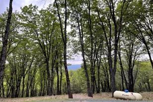 14437 Lightning Tree Rd, Nevada City, CA 95959 - Photo 4