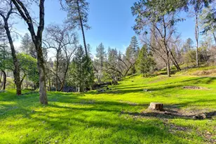805 Country Rd, Meadow Vista, CA 95722 - Photo 60
