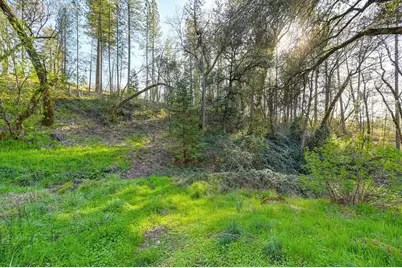 805 Country Road, Meadow Vista, CA 95722 - Photo 60