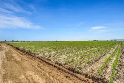 6450 W Delta Avenue, Tracy, CA 95304 - Photo 44