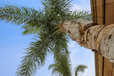 1091 Alba Street, Manteca, CA 95337 - Photo 36