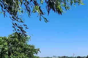 8794 Blossom Ave, Dos Palos, CA 93620 - Photo 1