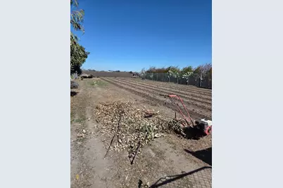 8794 Blossom Avenue, Dos Palos, CA 93620 - Photo 4