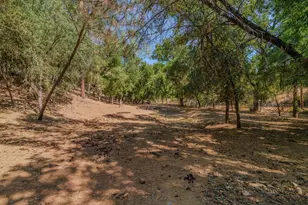 2988 Spring Hill Dr, San Andreas, CA 95249 - Photo 66