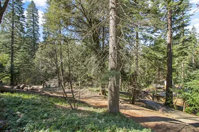 4710 Wandering Way, Camino, CA 95709 - Photo 44