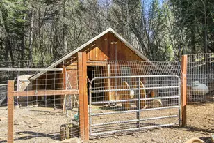 4710 Wandering Way, Camino, CA 95709 - Photo 36