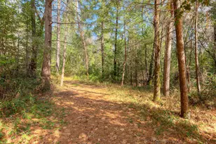 712 Bloomer Hill Rd, Berry Creek, CA 95916 - Photo 36