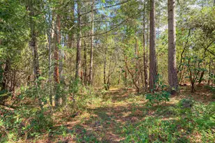 712 Bloomer Hill Rd, Berry Creek, CA 95916 - Photo 40