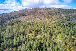 712 Bloomer Hill Rd, Berry Creek, CA 95916 - Photo 52