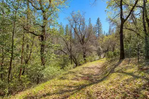 179 Elams Ranch Rd, Oroville, CA 95966 - Photo 48