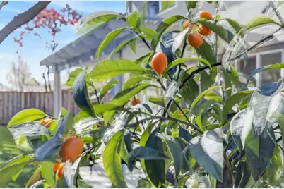 5142 Bissett Way, Sacramento, CA 95835 - Photo 50