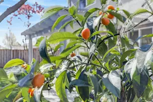 5142 Bissett Way, Sacramento, CA 95835 - Photo 50