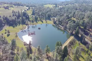 3800 Dogwood Ln, Placerville, CA 95667 - Photo 14