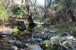 6145 Swiss Ranch Rd, Mountain Ranch, CA 95246 - Photo 68